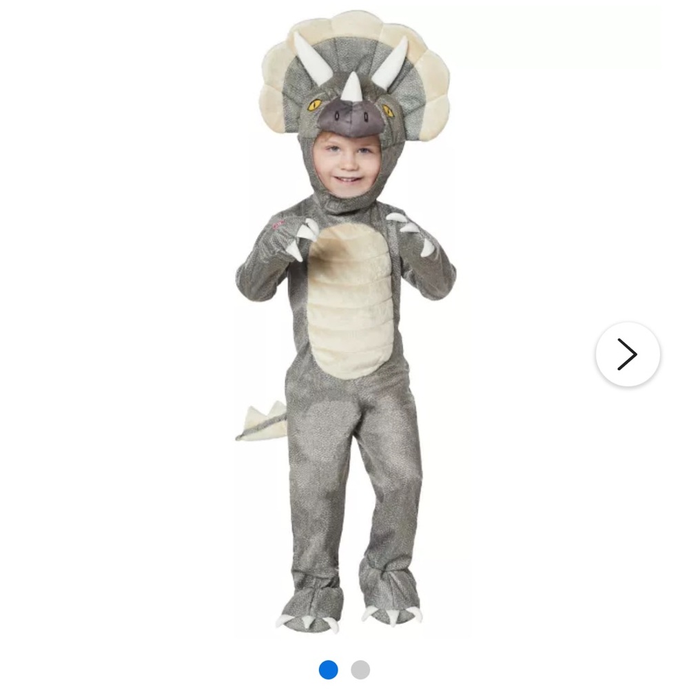 Spirit Gray Triceratops Kids Costume